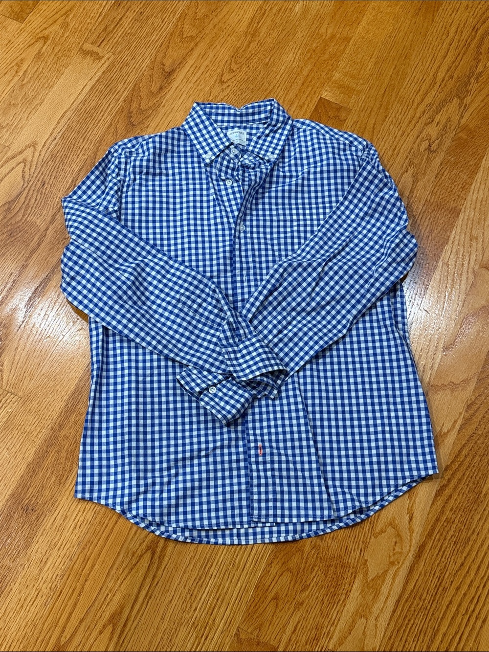 Crewcuts Blue & White Gingham Button-Down Shirt